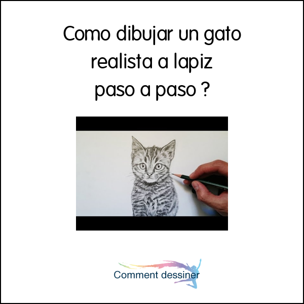 Como dibujar un gato realista a lapiz paso a paso